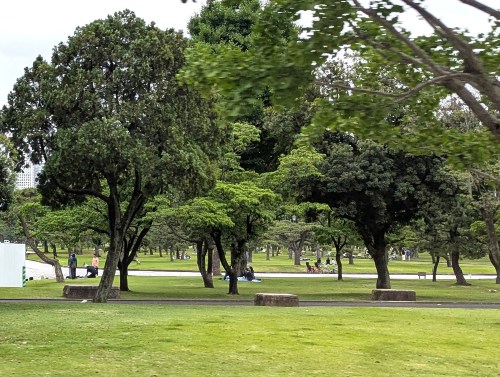 Koishikawa Korakuen Garden is a famous traditional Japanese Garden