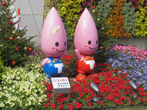 Tokyo Disneyland