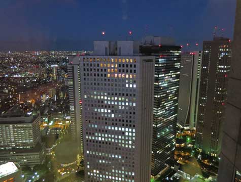 View from Observation Deck